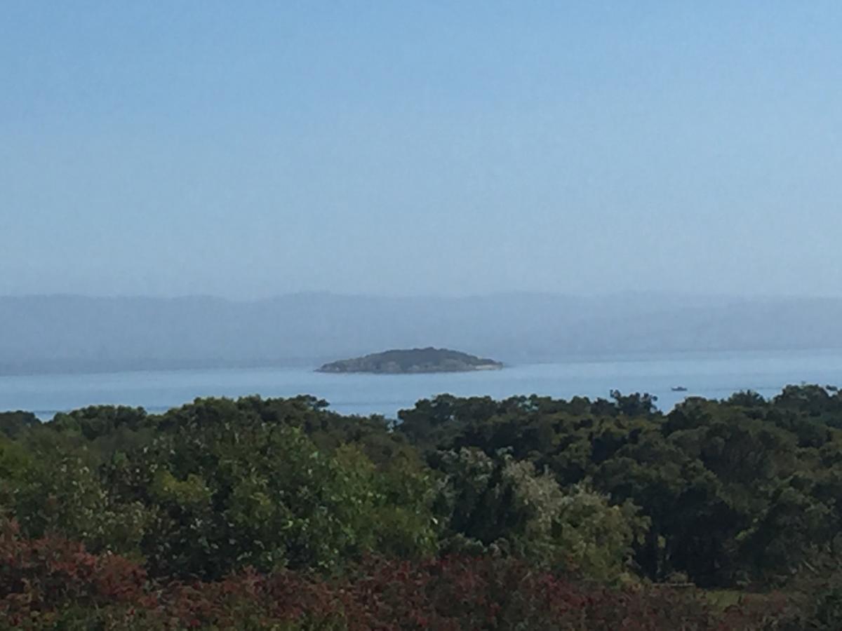 Tidal Dreaming Seaview Cottages Yanakie Esterno foto
