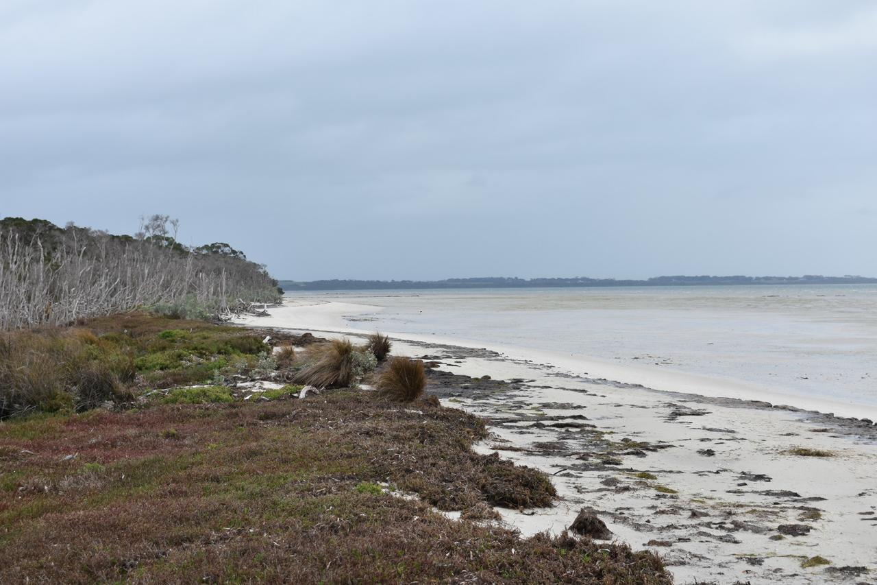 Tidal Dreaming Seaview Cottages Yanakie Esterno foto